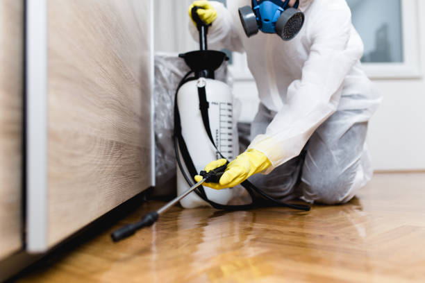 Best Pest Prevention Services  in Northview, MI