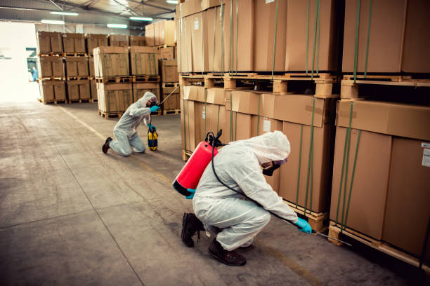 Best Exterminator Services  in Northview, MI