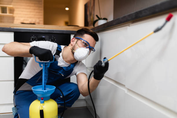 Best Best Pest Control Companies  in Northview, MI