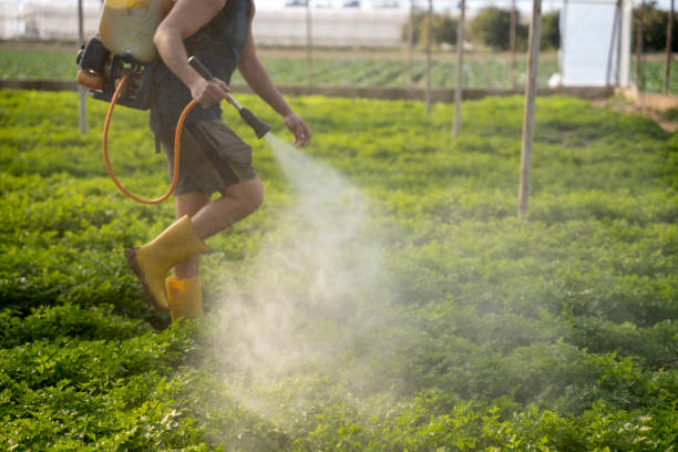 Pest Control for Restaurants in Northview, MI