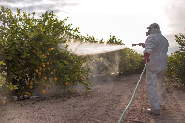 Best Mosquito Control Services  in Northview, MI