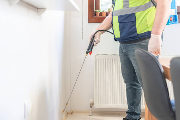 Reliable Northview, MI Pest Control Solutions