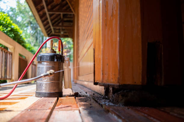 Pest Prevention Services in Northview, MI