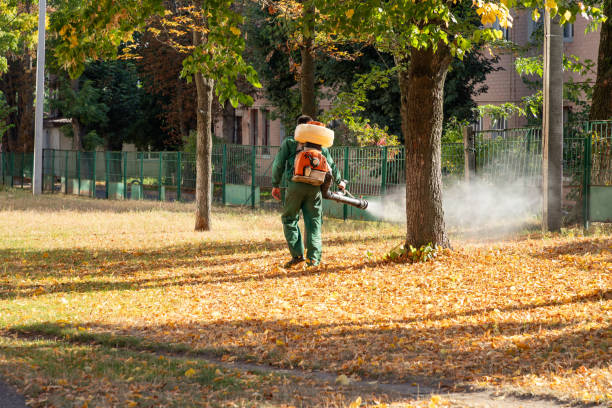 Best Wildlife Control Services  in Northview, MI