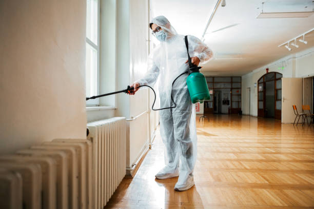 Best Affordable Pest Control Services  in Northview, MI