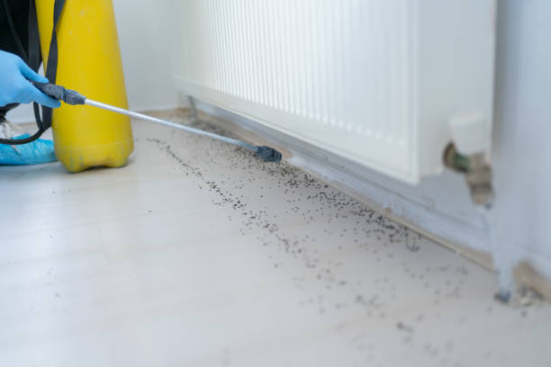 Best Best Pest Control Companies  in Northview, MI